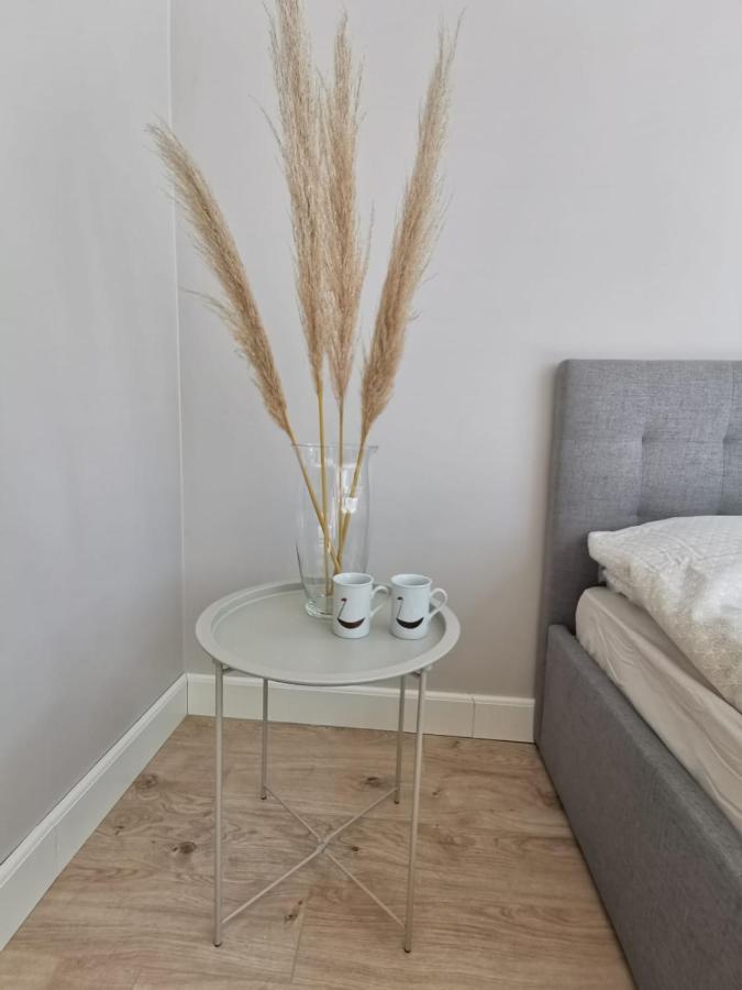 Tolstoi Scandinavian 1 Bedroom Apartment + Free Parking タルトゥ エクステリア 写真